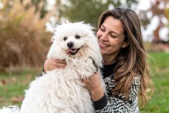 Assim como em humanos, envelhecimento de pets requer acompanhamento e cuidado preventivo