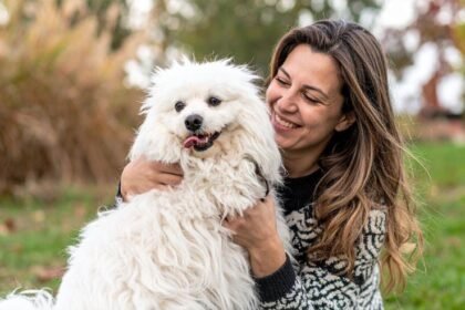 Assim como em humanos, envelhecimento de pets requer acompanhamento e cuidado preventivo